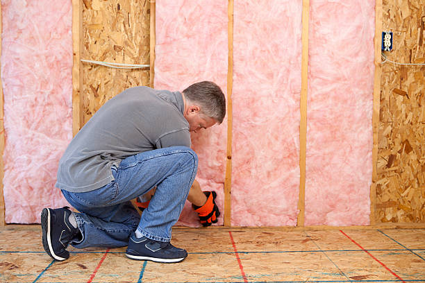 Best Insulation Maintenance and Repair in Fairfax, MN